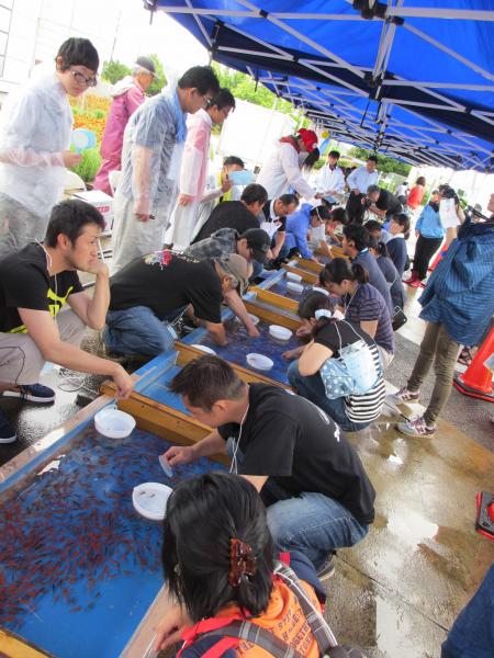 『2015CM金魚すくい』の画像