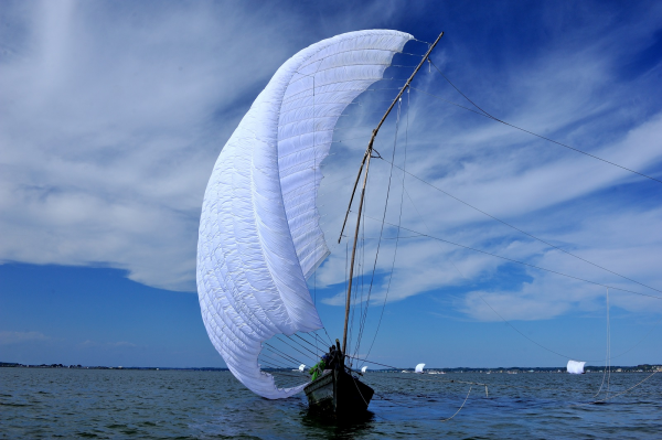『2015帆引き』の画像