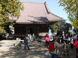 フットパス（東福寺）