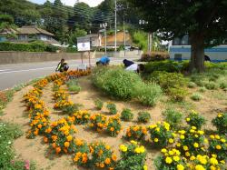 高校生会（花壇）