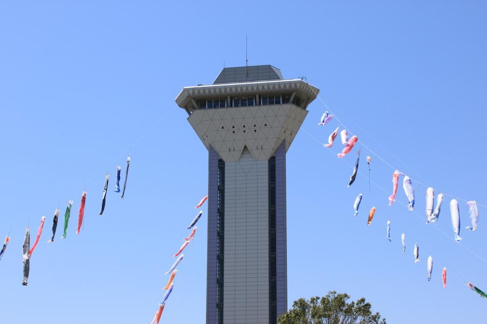 2026年8月24日