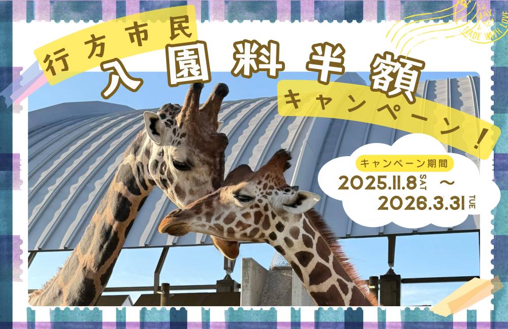 【霞ケ浦どうぶつとみんなのいえ】行方市民入園料半額キャンペーンを実施します