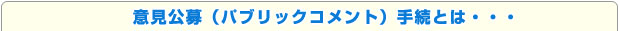 意見公募（パブリックコメント）手続とは・・・