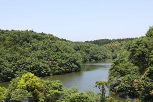 水と緑の絶景スポット