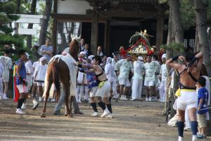 馬と神輿の戦い