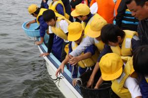 うなぎの稚魚放流