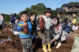 大きなサツマイモが掘れました