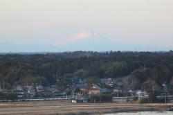 タワーから見た富士山