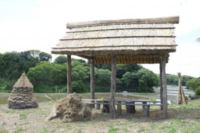 田園風景の中に佇む東屋