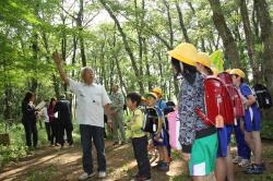 里山の樹木を観察