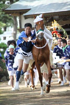 見事な手綱さばき