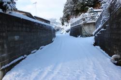 路面の降り積もった雪