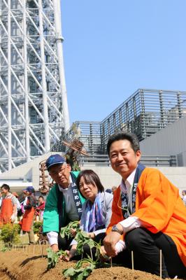 副知事と苗植え