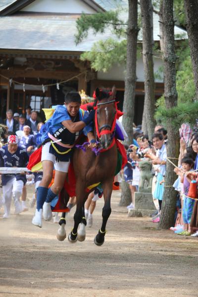 馬出し祭り１