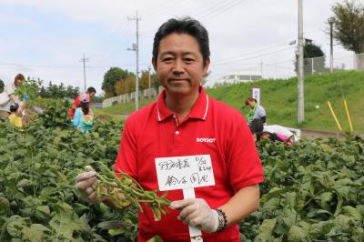 枝豆収穫