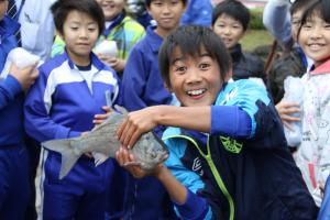 魚の観察