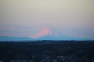 タワーから見た富士山2015