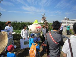 1003金時収穫祭03