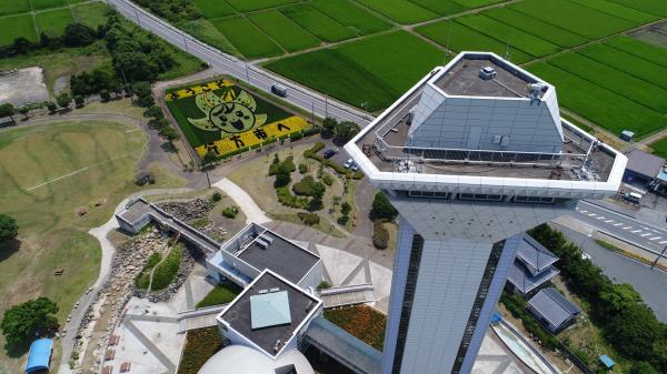 今年の 田んぼアート 行方市公式ホームページ