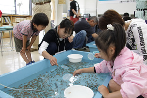 金魚すくい祭 行方市公式ホームページ