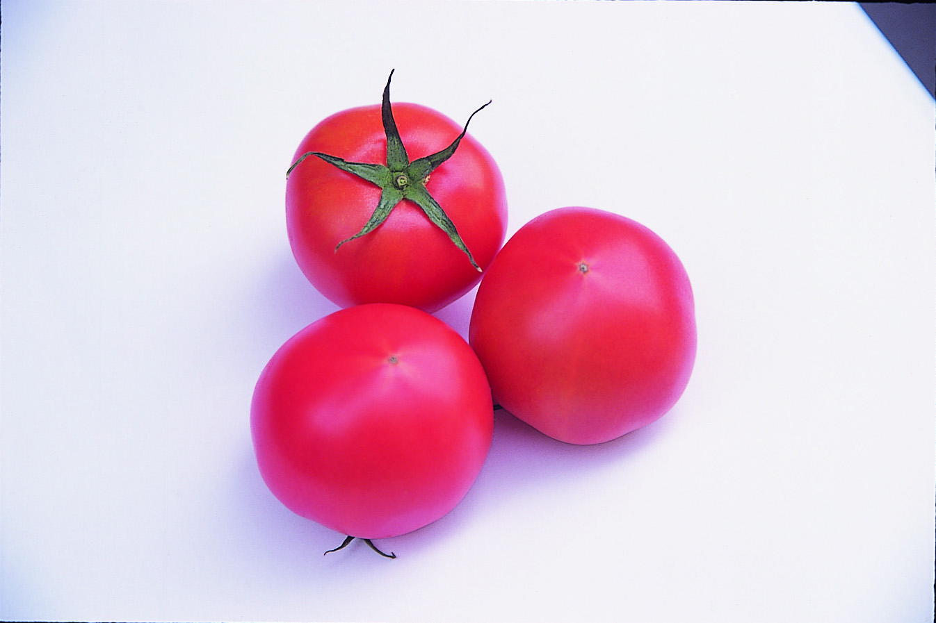 行方産トマト