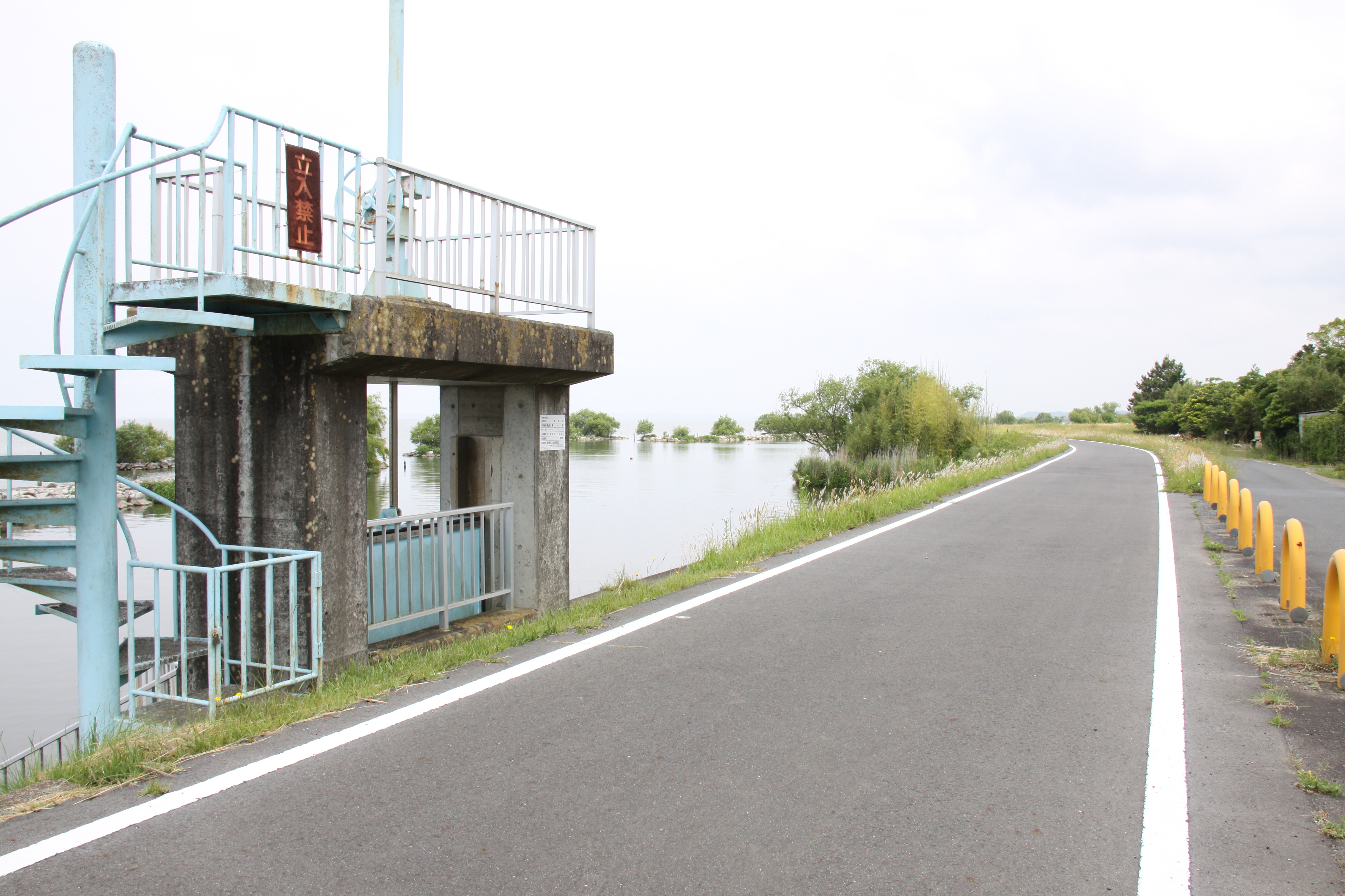 堤防沿いの道（島並）