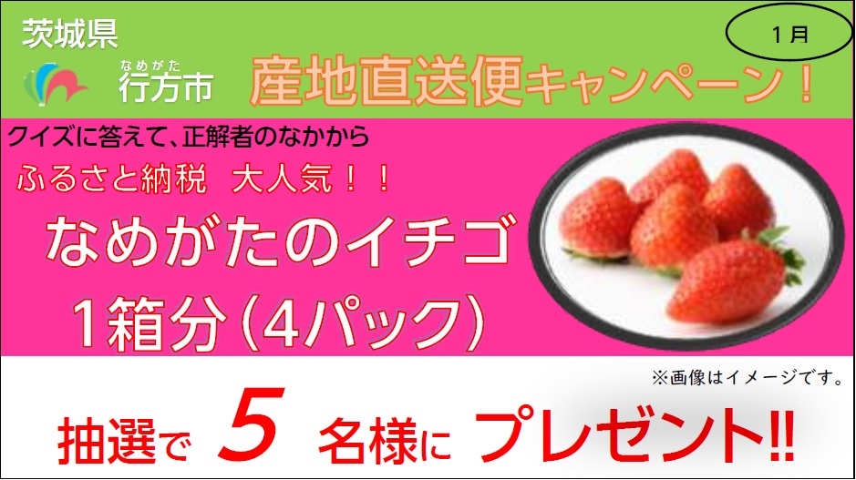 98cwz2c9xnpm