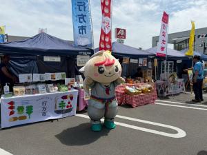 5.31 ミコット