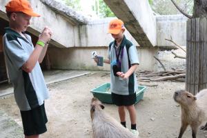 サンプル画像1