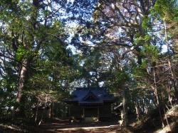 息栖神社樹叢