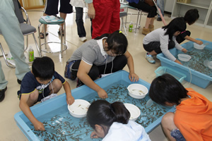 金魚すくい祭 行方市公式ホームページ